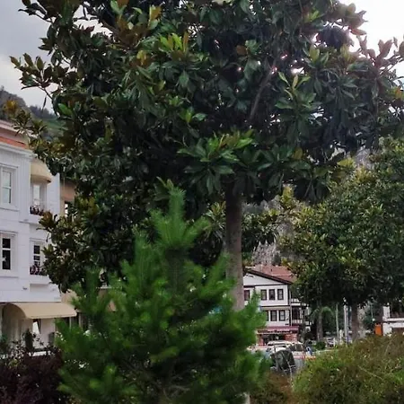 Hotel Afilli Koesk *